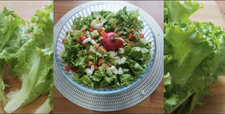 Easy & Healthy Salad Recipe